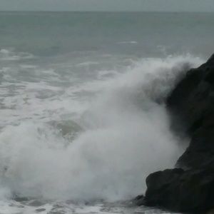 Meet your Posher, Patty